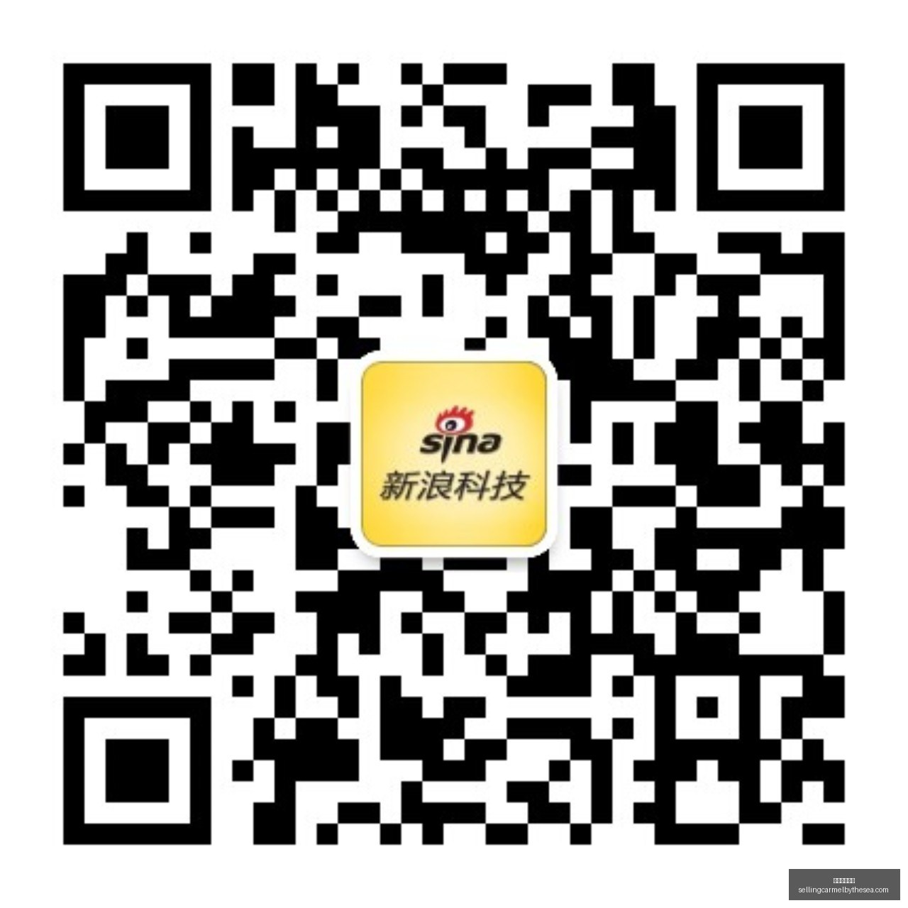 哈利法迪奥,普骑士生涯,球衣号码,足球赔率网站官网,足球赔率网站App,足球赔率网站下载,足球赔率网站登录,足球赔率网站平台